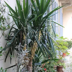 Dimora Boezio7, Cozy And Charming Place In Center With Private Parking Hébergement de vacances